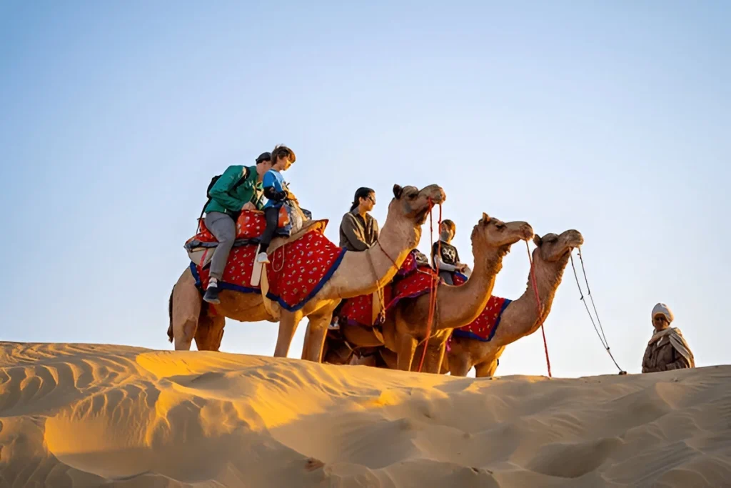 desert-safari-camel-riding